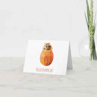 Hello pumpkin guinea pig greeting card
