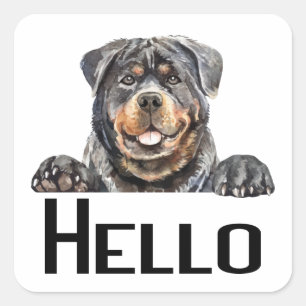 Hello Rottie Puppy Dog Watercolor Rottweiler Squ Square Sticker