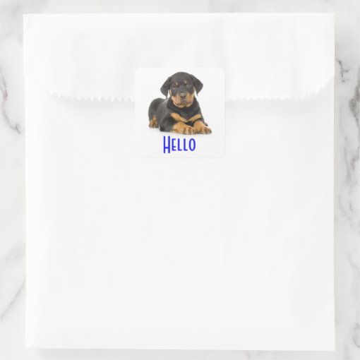 Hello Rottweiler Puppy Dog Greeting Stickers | Zazzle