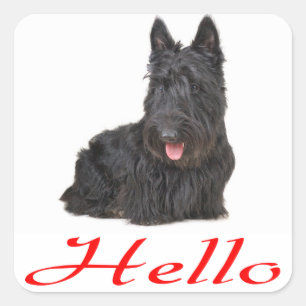 Hello Scottish Terrier Puppy Dog Sticker / Label