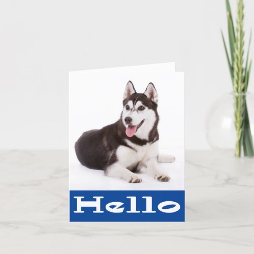 Hello Siberian Husky Puppy Dog Blank Note Card