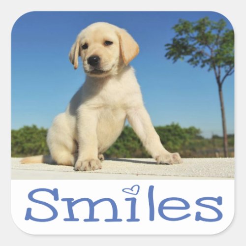 Hello Smiles Yellow Labrador Retriever Puppy Dog Square Sticker