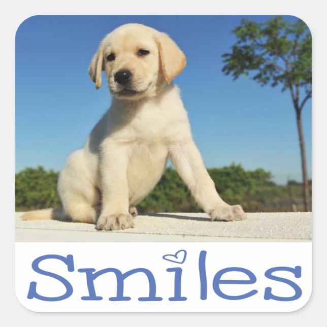 Hello Smiles Yellow Labrador Retriever Puppy Dog Square Sticker (Front)