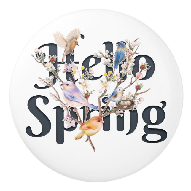 Hello Spring Birds Ceramic Knob (Front)