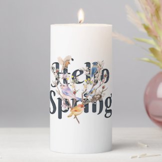 Hello Spring Birds