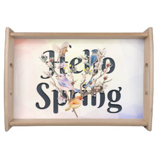 Hello Spring Birds