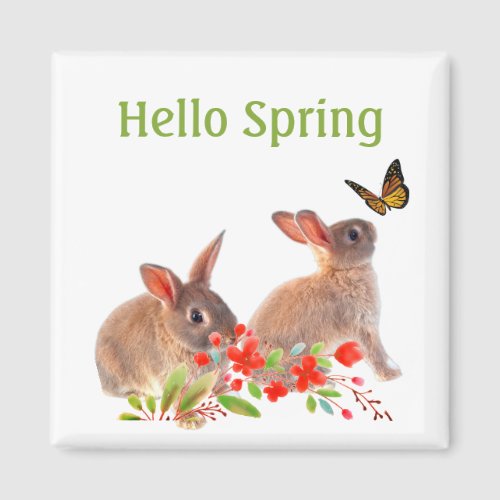 Hello Spring Bunny Rabbit and Butterfly Magnet