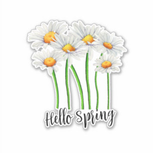 Hello Spring, Daisy Flowers Design Sticker