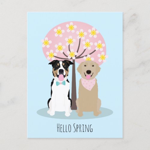 Hello Spring Dogs By Cherry Blossom Tree Postcard