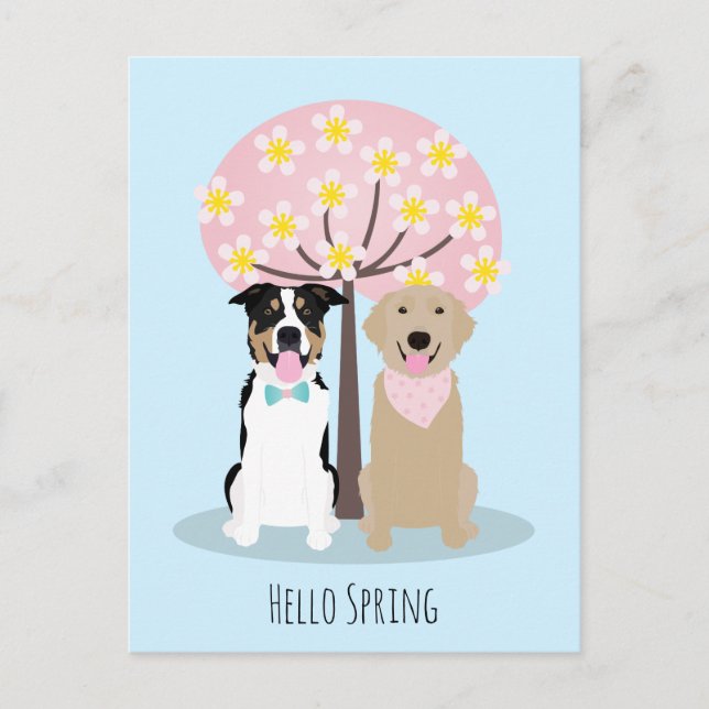 Hello Spring Dogs By Cherry Blossom Tree Postcard (Front)
