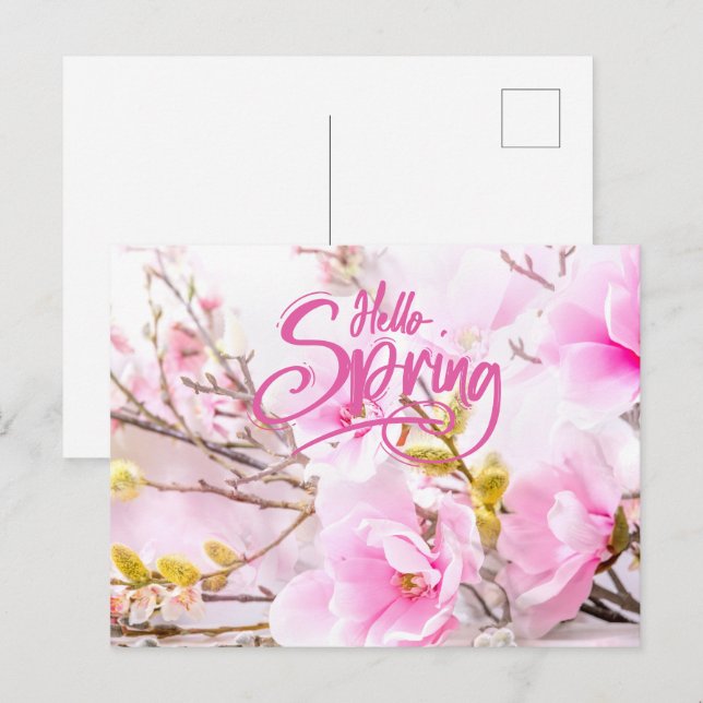 Hello Spring Pink Magnolia Flowers Postcard (Front/Back)