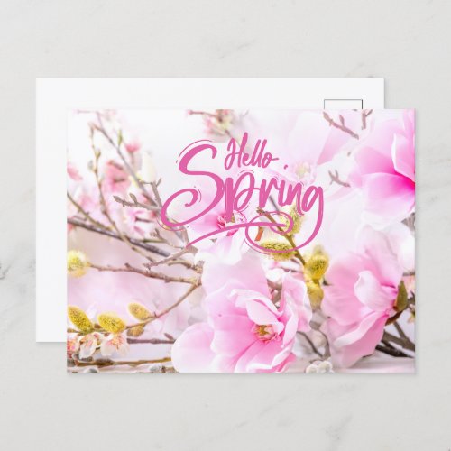 Hello Spring Pink Magnolia Flowers Postcard