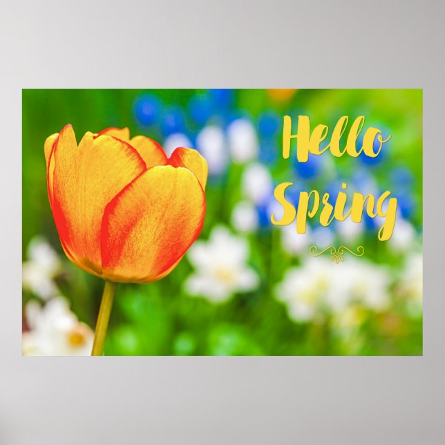 Hello Spring! Poster (Front)
