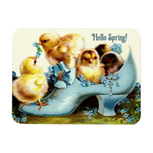 Hello Spring. Vintage Easter Chicks Gift Magnet