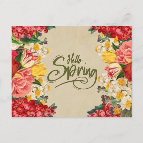 Hello Spring Vintage Tulip Daffodil Flowers  Postcard