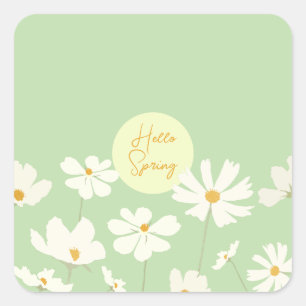 Hello Spring white cosmos flowers yellow centre Square Sticker