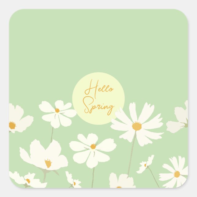 Hello Spring white cosmos flowers yellow centre Square Sticker (Front)