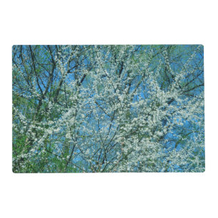 Hello, Spring! White wild plum tree in blossom Placemat