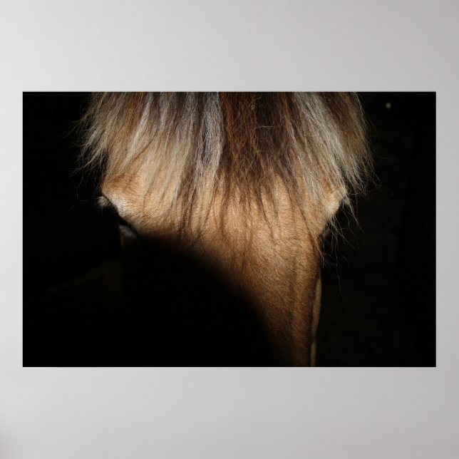 Hello, Stranger - Poster (Front)