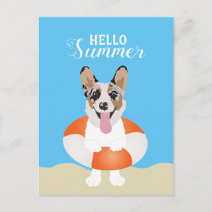 Hello Summer Corgi Beach Dogs Postcard