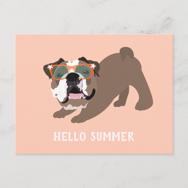 Hello Summer English Bulldog Orange Postcard (Front)