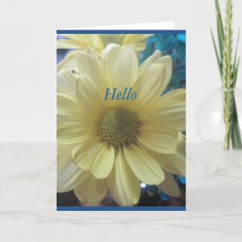 Hello Summer Floral Card by Designs_Accessorize at Zazzle