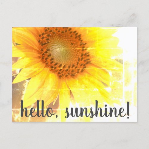 Hello Sunshine Faded Sunflower Postcard