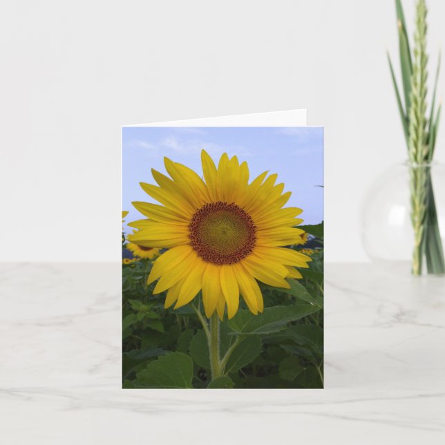Hello Sunshine Note Card (Front)