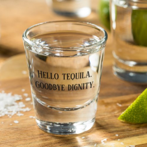 Hello Tequila Goodbye Dignity Funny Drinking Shot Glass