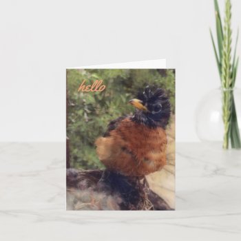 Hello There Friend (blank Note Card) Card by Siberianmom at Zazzle