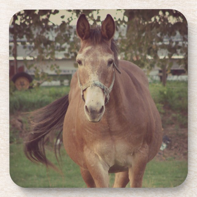 Hello there, I See you Drink Coaster (Front)