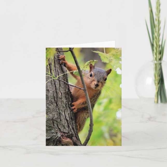 Hello There Note Card (Front)