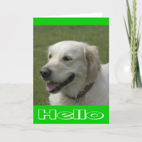 Hello Thinking Of You Golden Retriever Puppy Card