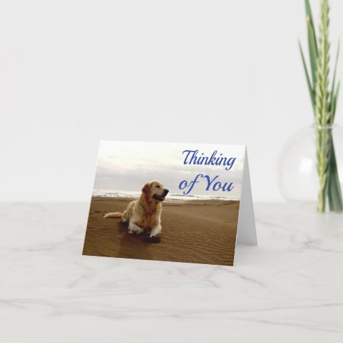Hello Thinking Of You Golden Retriever Puppy Dog Card