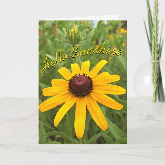 Hello Thinking of You Rudbeckia Flower Custom Card (Front)