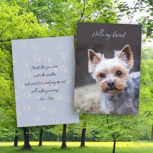 Hello Thinking of You Terrier Greeting Card