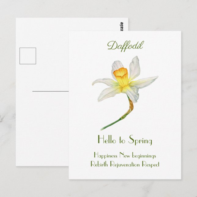 Hello to spring daffodil watercolor Postcard (Front/Back)