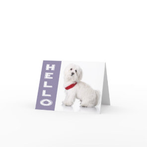Hello White Maltese Puppy Dog Blank Note Card