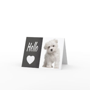 Hello White Maltese Puppy Dog Chalkboard Note Card
