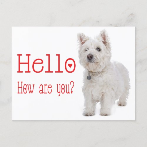 Hello White West Highland Terrier Puppy Dog Postcard