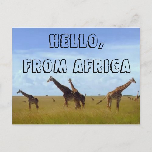 Hello with Love From Africa Hakuna Matata Postcard