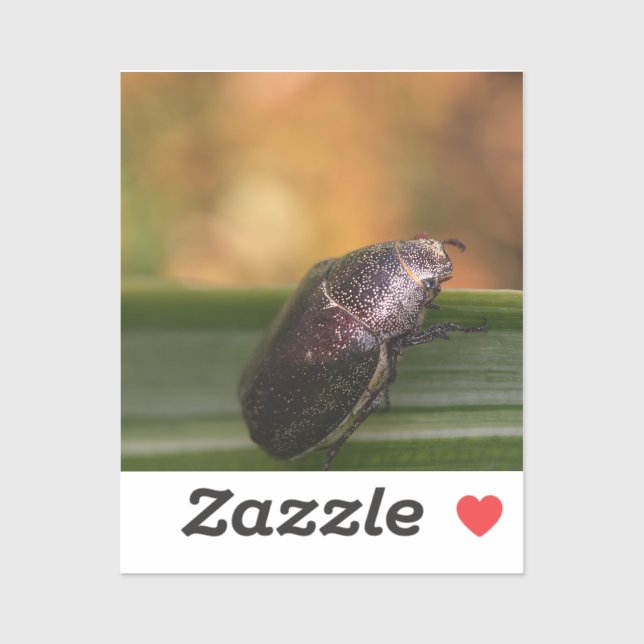 Hello World! Sticker (Sheet)