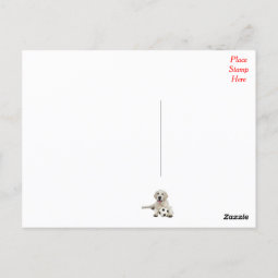 Hello Yellow Labrador Retriever Post Card | Zazzle