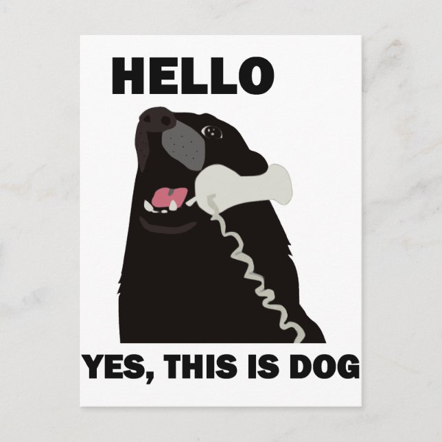 HELLO YES THIS IS DOG telephone phone Postcard (Front)