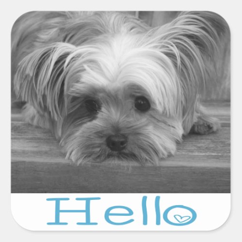 Hello Yorkshire Terrier Puppy Dog Greeting Sticker