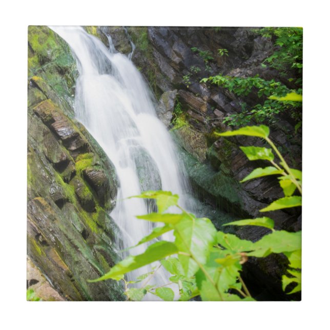 Hell's Gate Canyon waterfall Ceramic Tile (Front)