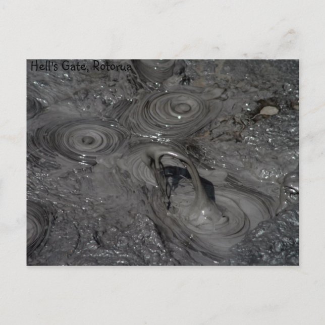 Hell's Gate Mud Pool Postcard (Front)