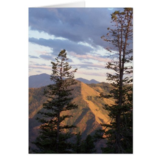 Hells vertical view (Front)