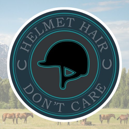 Helmet Hair Dont Care _ English Equestrian Helmet Sticker