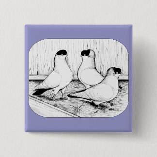 Helmet Pigeon Trio Button